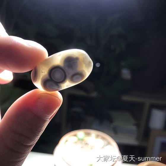入坑海洋碧玉，各种各样的海碧真的太美了，千姿百态啊