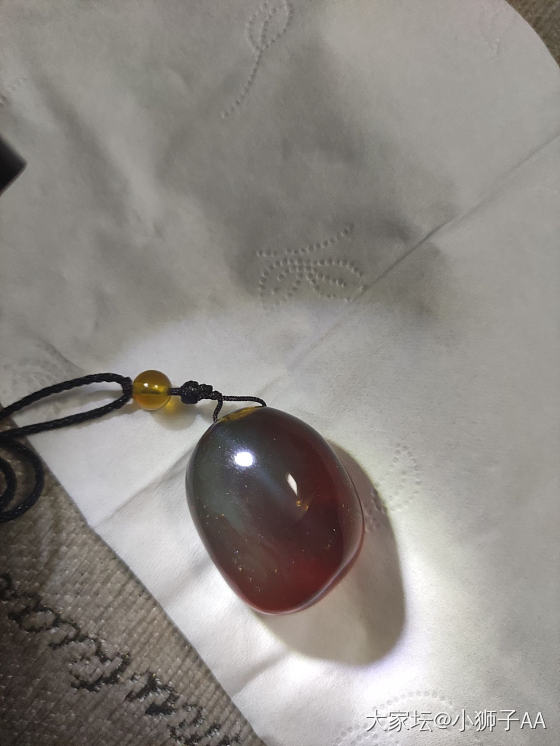 万能的坛友 这个是塑料么_琥珀蜜蜡