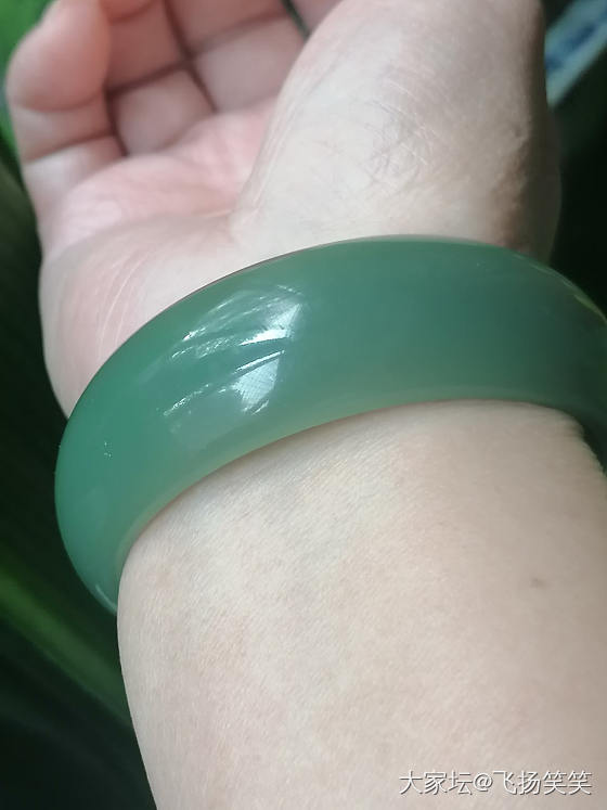翻出一支以前买的碧玉手镯，算啥颜色？_手镯和田玉