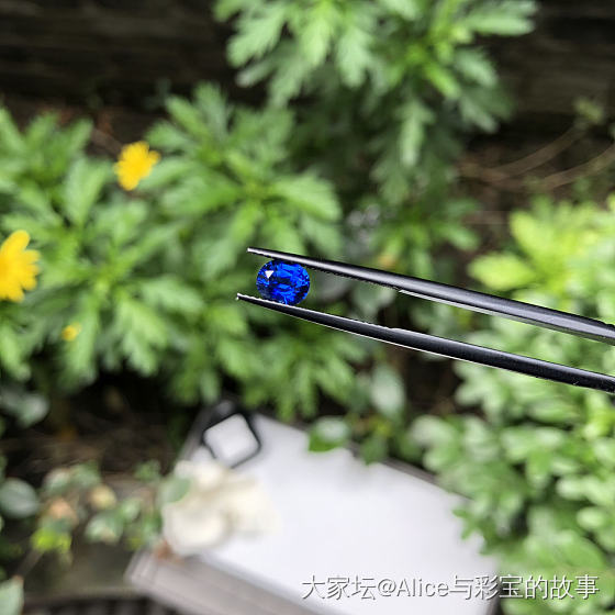 斯里兰卡蓝宝石_名贵宝石