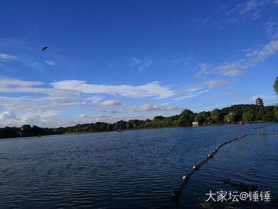 雨中西湖