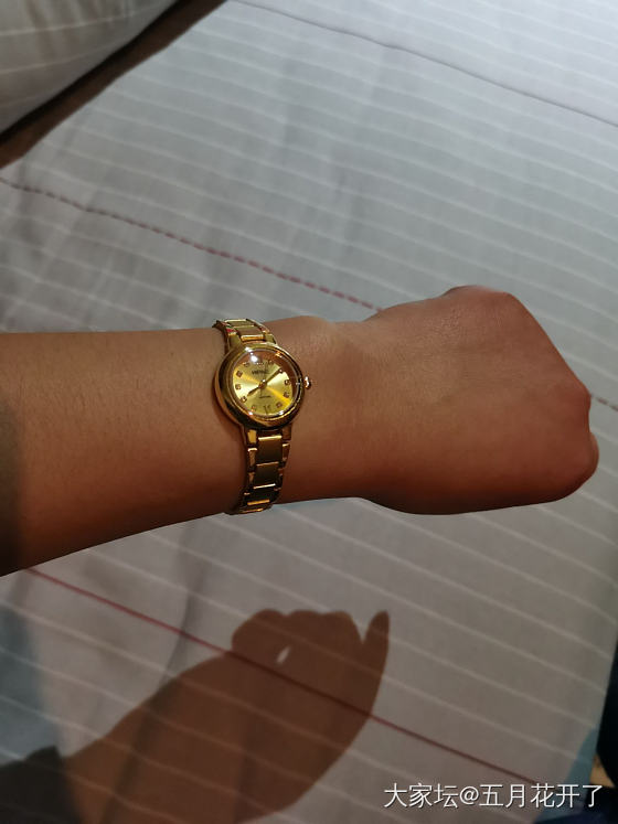 金表到了_手表金