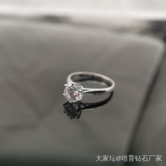 人间暮春，雨落情长_钻石