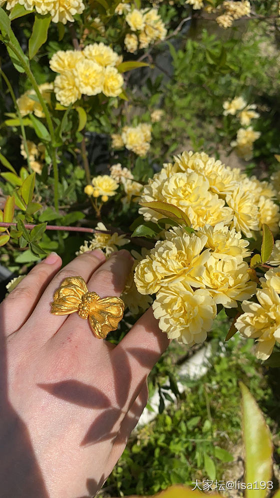 花花世界，好漂亮哦🌞_首饰