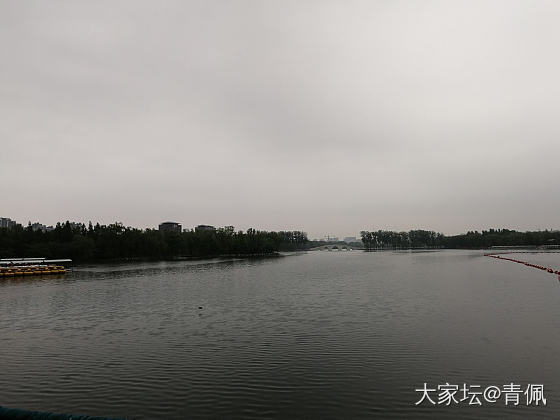 今日公园，烟雨江南的感觉
一大早冒雨去走了两小时，北方的雨很少，偶尔淋一下，还别...