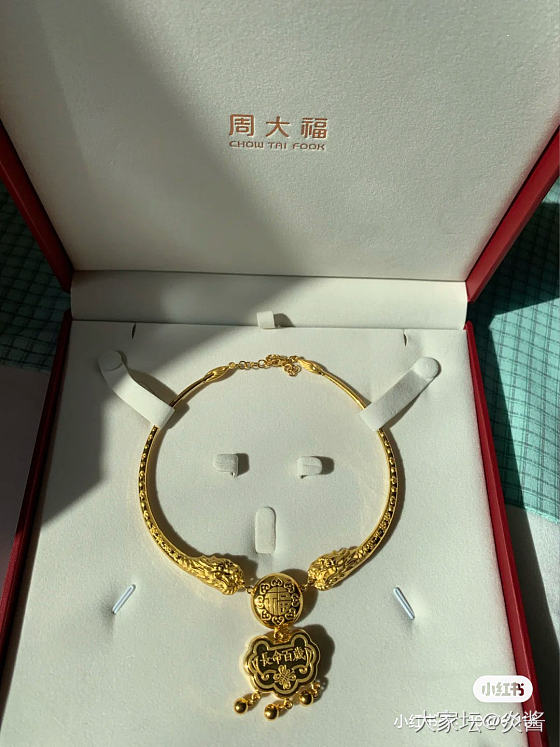 又开始骚动想给崽崽买金项圈_金