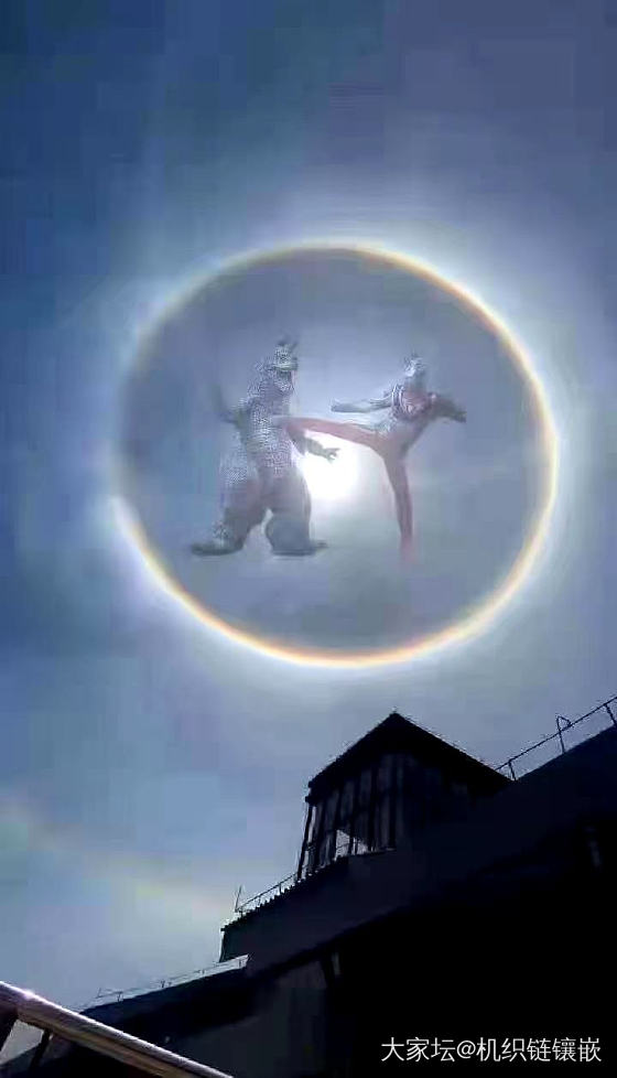 今天朋友圈都晒太阳，前几个是真的拍到的，然后就有了后面那几个图😂😂