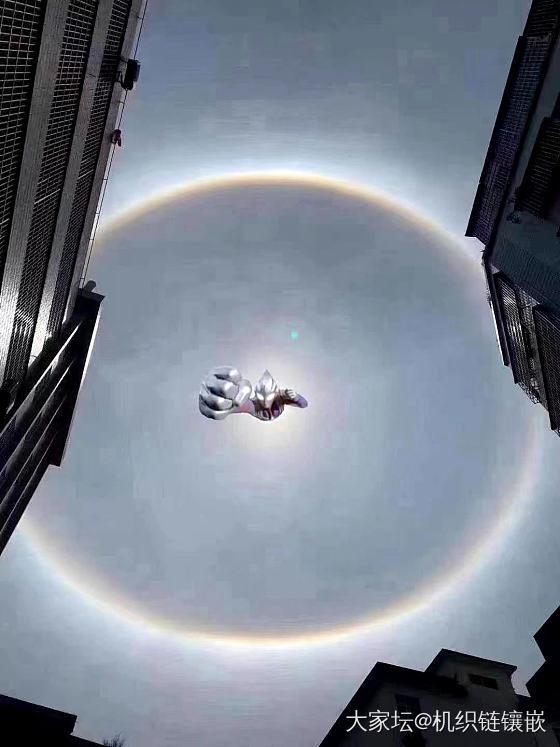 今天朋友圈都晒太阳，前几个是真的拍到的，然后就有了后面那几个图😂😂