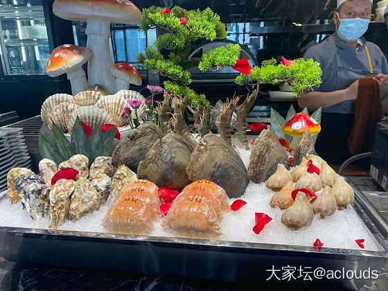 期待打卡