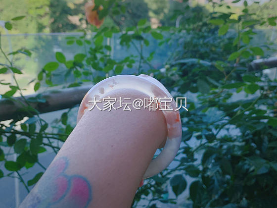 樱花仙仙镯_玉髓玛瑙