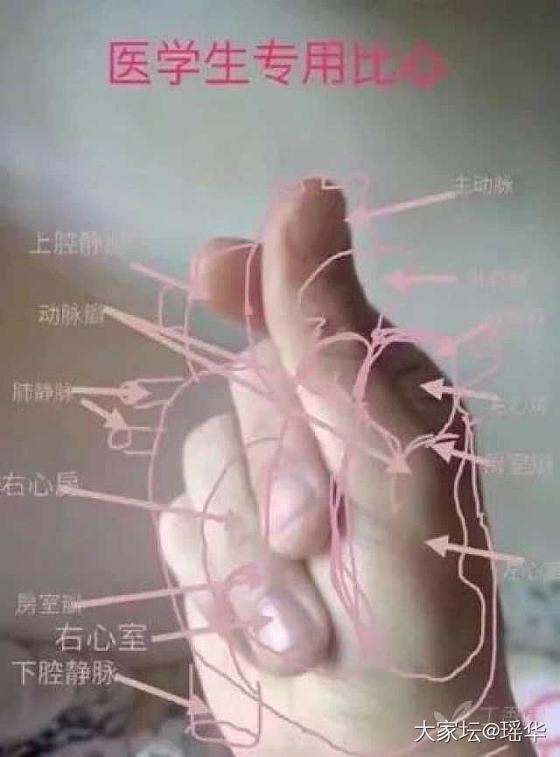 伤心，唯一一只和田镯子带不上了_手镯银和田玉