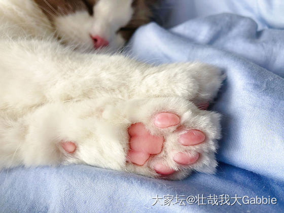 求推荐古语坊款式_手镯网店商家银