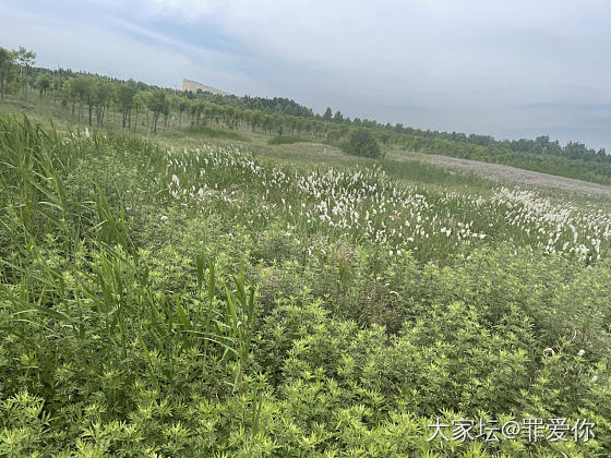 一场说野就野的野餐_生活闲聊