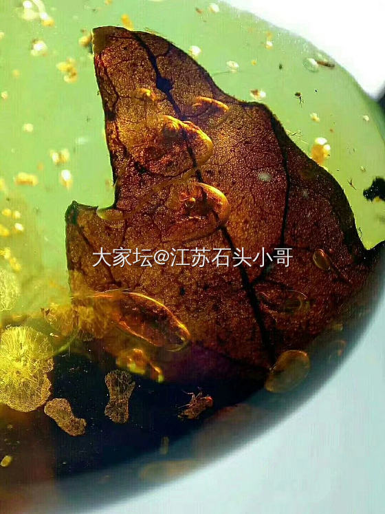 缅甸虫珀
缅甸琥珀形成于一亿年左右的白垩纪时期，是事实已发现的最古老的琥珀，包裹...