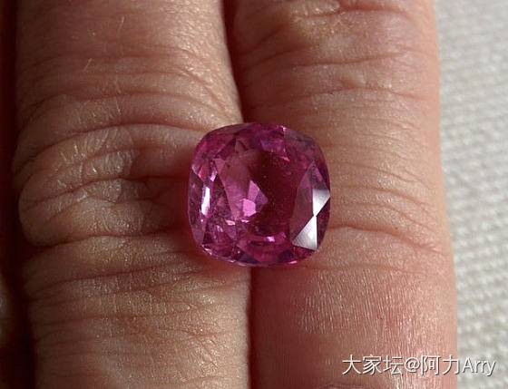 Sapphire Hunting in Sri Lanka在斯里兰卡寻找蓝宝石