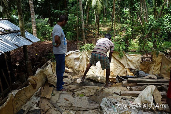 Sapphire Hunting in Sri Lanka在斯里兰卡寻找蓝宝石