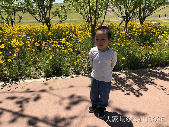 三岁宝宝要不要上幼儿园_育教亲子