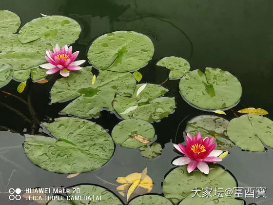 旧年的五彩绳戴起来！祝大家端午安康_节日首饰