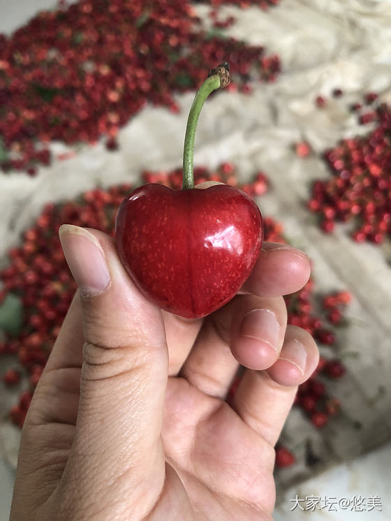 吃个樱桃都是爱你的模样_水果