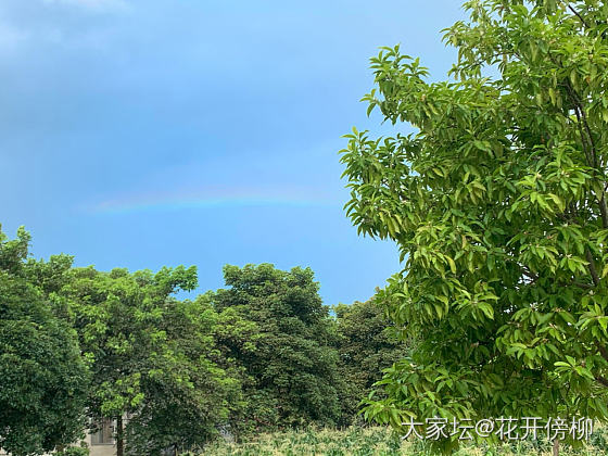 我的天空
可喜欢抬头看天空了