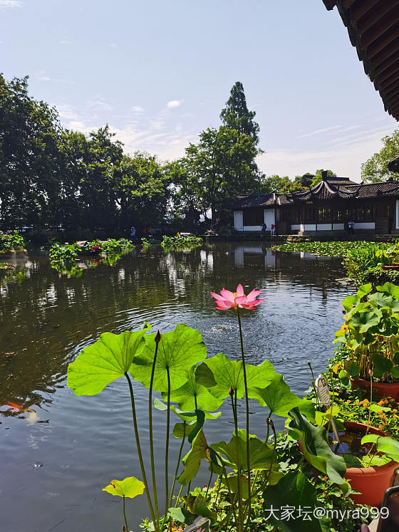 蜜蜡随型_挂件蜜蜡