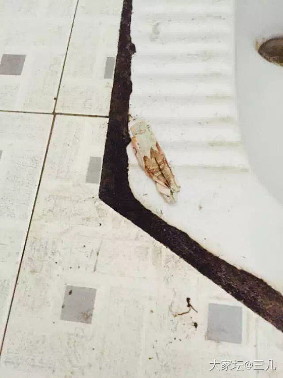 投个票吧 考验人性的时候