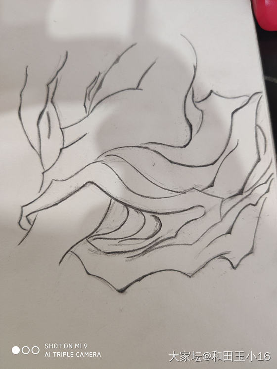 分享帖