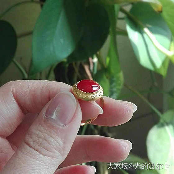 大家有王同学首饰吗，能不能晒一晒（带我瞅一瞅）_珊瑚