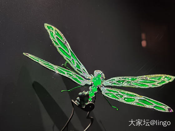 陈世英个展 翩翩平行梦_展会