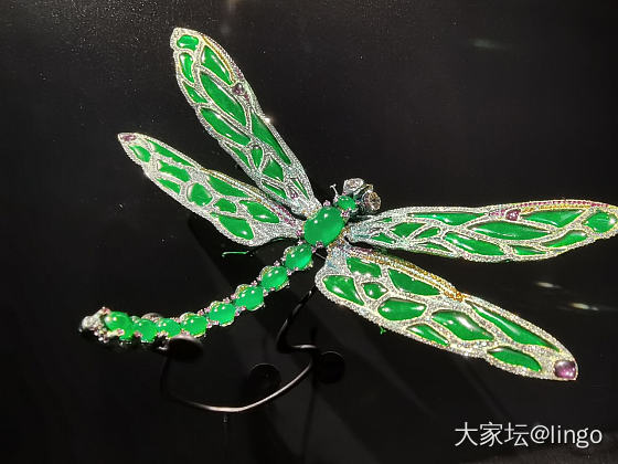 陈世英个展 翩翩平行梦_展会