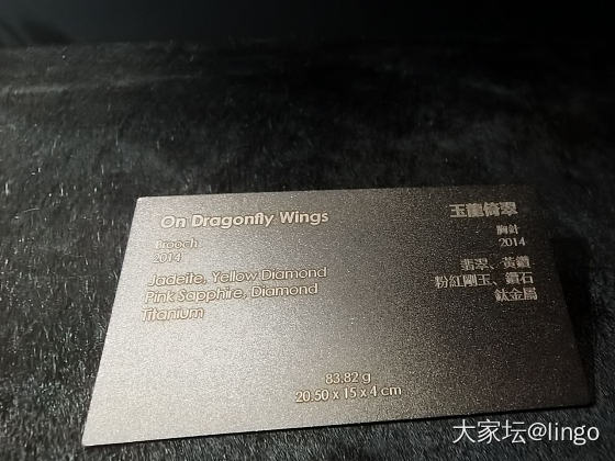 陈世英个展 翩翩平行梦_展会