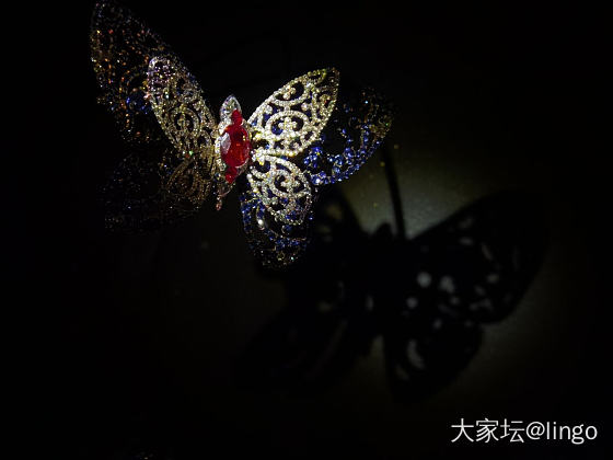 陈世英个展 翩翩平行梦_展会