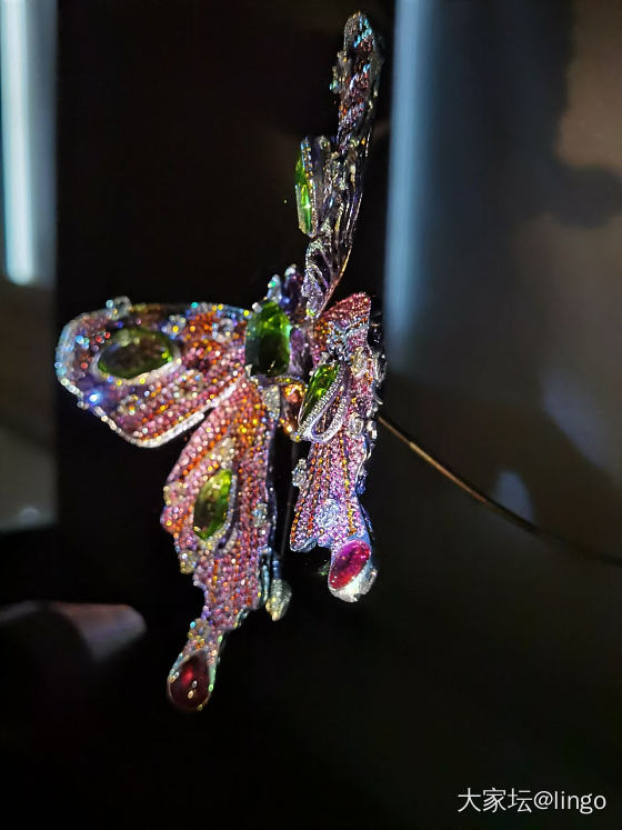 陈世英个展 翩翩平行梦_展会