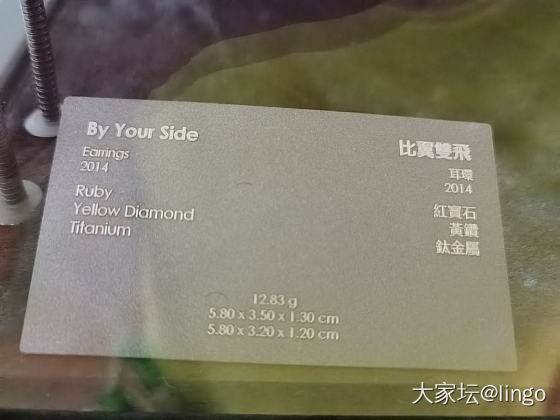 陈世英个展 翩翩平行梦_展会