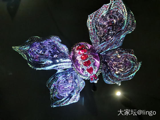 陈世英个展 翩翩平行梦_展会