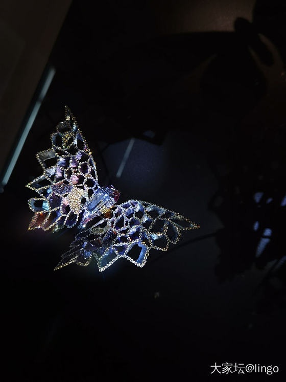 陈世英个展 翩翩平行梦_展会