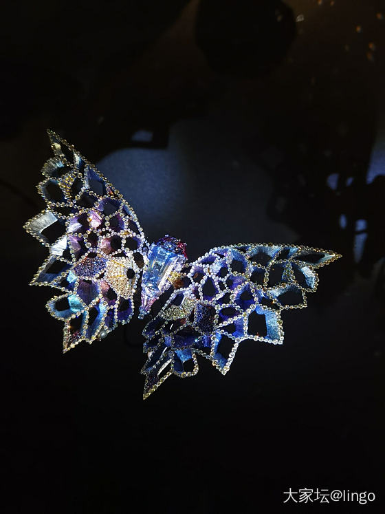 陈世英个展 翩翩平行梦_展会