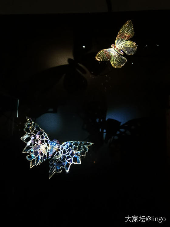 陈世英个展 翩翩平行梦_展会