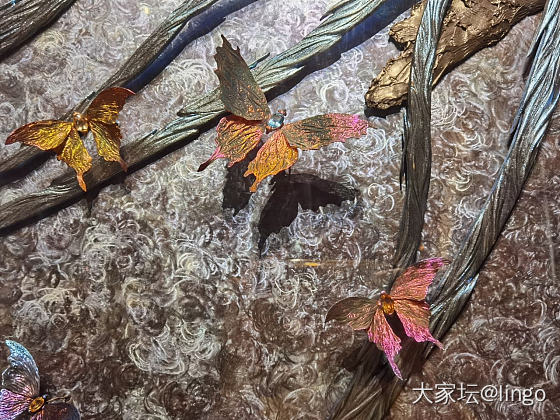 陈世英个展 翩翩平行梦_展会