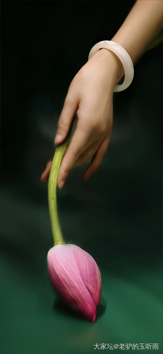 美玉着腕间，轻衫衬跳脱。_和田玉