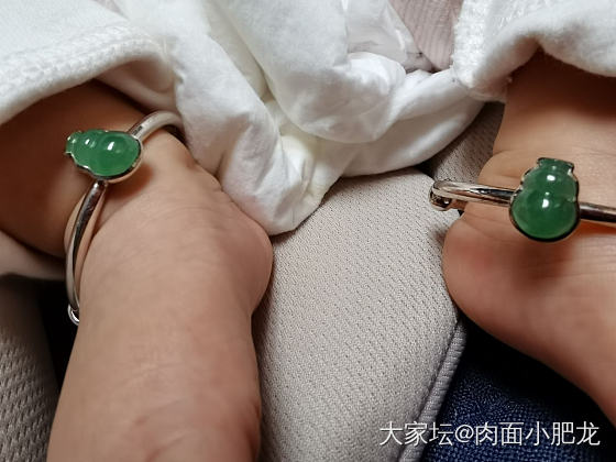 重度葫芦控毒鼠强摄入中_翡翠