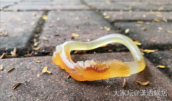 玛瑙雕花手镯_手镯