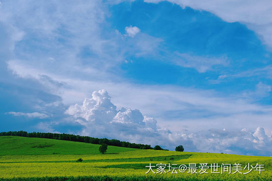 大蒙古可太好看啦～【多图】
线路是张北——锡林郭勒——阿尔山——满洲里。这是第三...