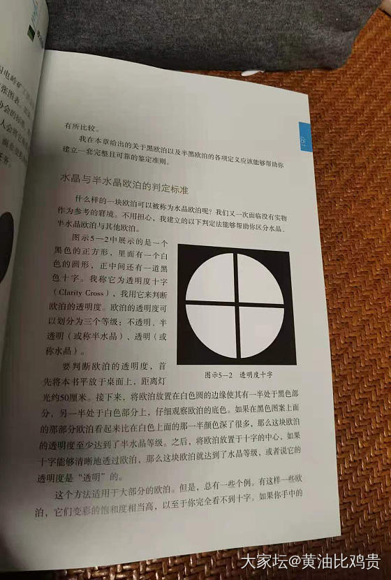 我也是个刚刚入门欧泊的小白_欧泊