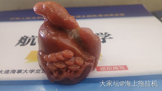 小红牛和两只红……小鸡吧😂😂_翡翠