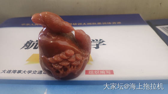 小红牛和两只红……小鸡吧😂😂_翡翠