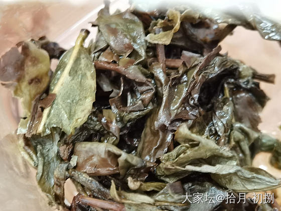 给大家安利一款茶_茶叶