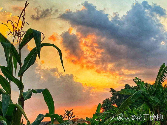 最近半个月断断续续拍到的夕阳_翡翠