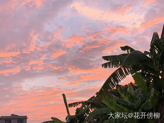 最近半个月断断续续拍到的夕阳_翡翠