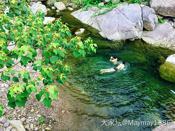 最近爱上了野泳_旅游